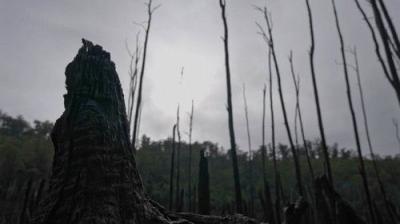 Alone Australia