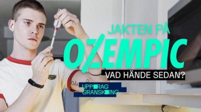 Uppdrag granskning sommar