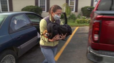 The Incredible Dr. Pol