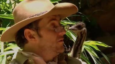 I'm a Celebrity...Get Me Out of Here!