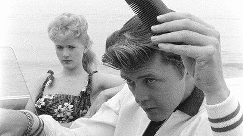 77 Sunset Strip filmas žiurėti online
