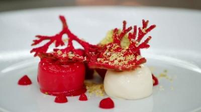MasterChef: The Professionals