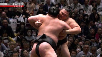 GRAND SUMO Highlights