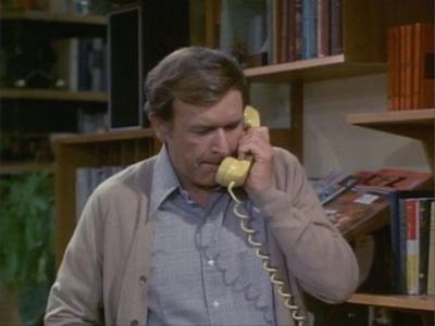 The Bob Newhart Show
