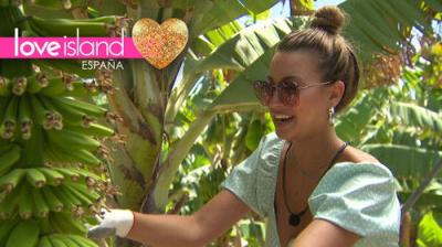 Love Island