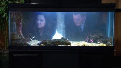 Mike & Molly
