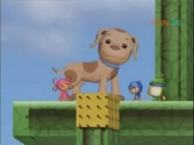 Team Umizoomi