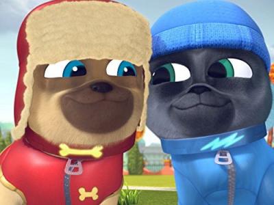 Puppy Dog Pals