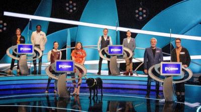 Pointless Celebrities
