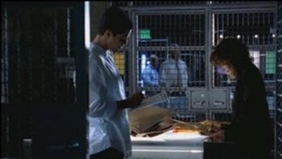 CSI Majamis