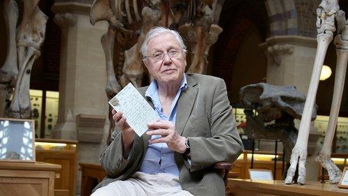 David Attenborough's Natural Curiosities filmas žiurėti online