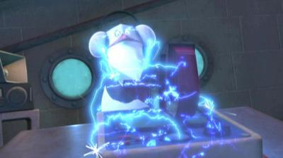 Madagaskaro pingvinai