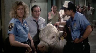 Hill Street Blues