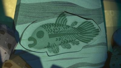 Octonauts