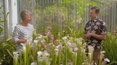 Gardening Australia