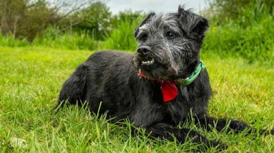 Mortimer & Whitehouse: Gone Fishing