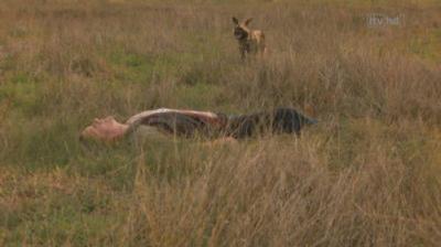 Wild at Heart