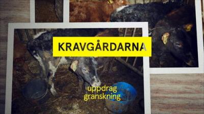 Uppdrag granskning