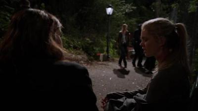 Įstatymas ir tvarka. Specialiųjų tyrimų skyrius