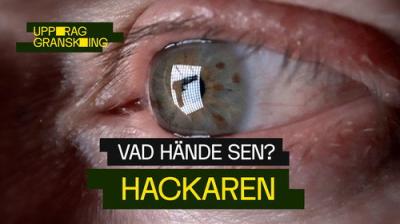 Uppdrag granskning sommar
