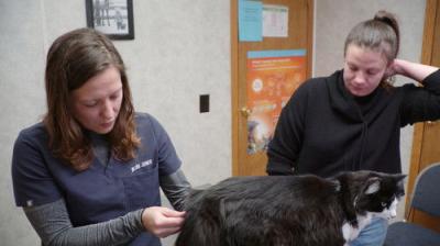 The Incredible Dr. Pol