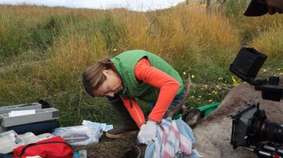 Dr. Oakley, Yukon Vet