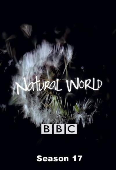 Natural World filmas online