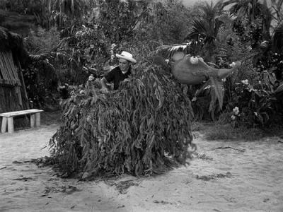 Gilligan's Island