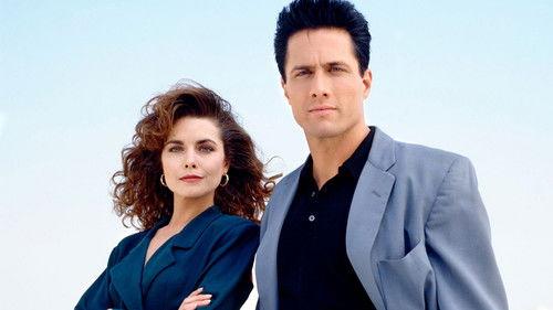 Silk Stalkings filmas žiurėti online