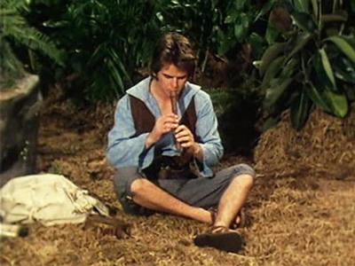 Swiss Family Robinson