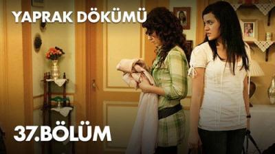 Yaprak Dökümü