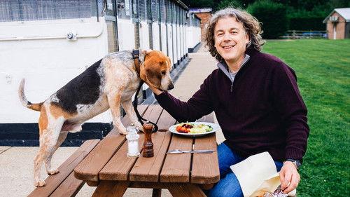 The Dog Rescuers with Alan Davies filmas žiurėti online