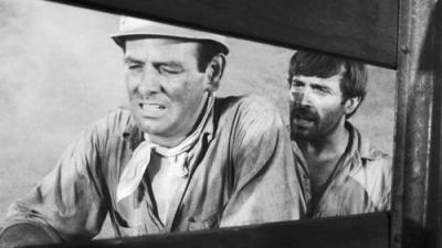 The Fugitive