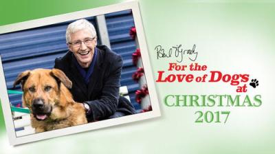 For the Love of Dogs