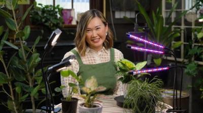 Gardening Australia