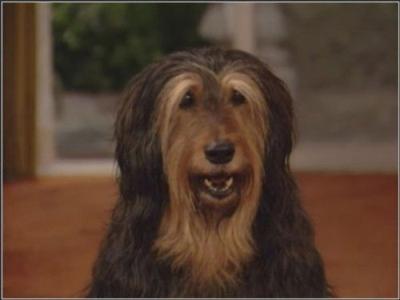 Vedęs ir turi vaikų