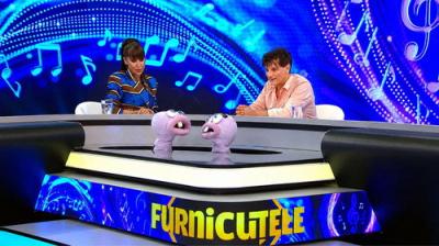 Furnicuțele