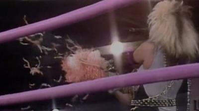 GLOW: Gorgeous Ladies of Wrestling