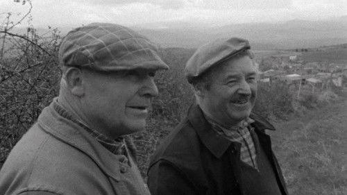 Le Chagrin et la Pitié filmas žiurėti online