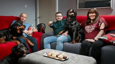 Gogglebox