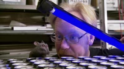 MythBusters