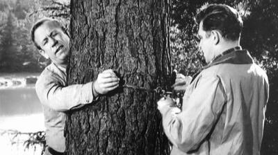 The Andy Griffith Show