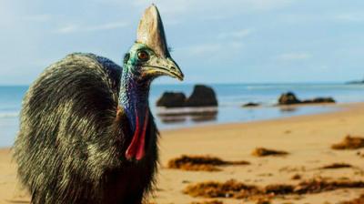 Septyni pasauliai, viena planeta