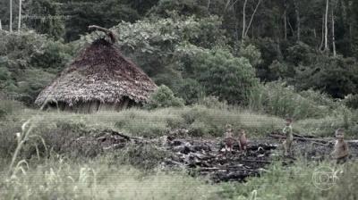 Profissão Repórter