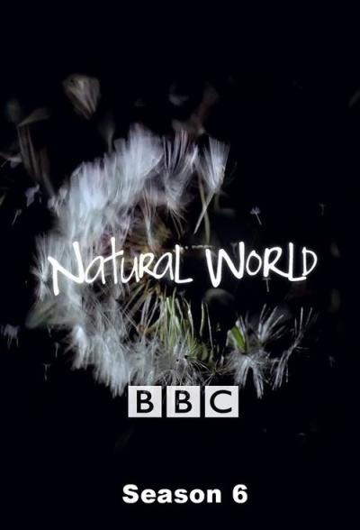 Natural World filmas online