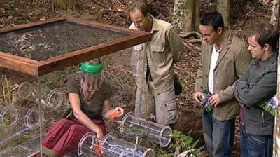 I'm a Celebrity...Get Me Out of Here!