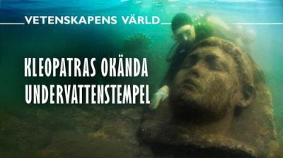 Vetenskapens värld