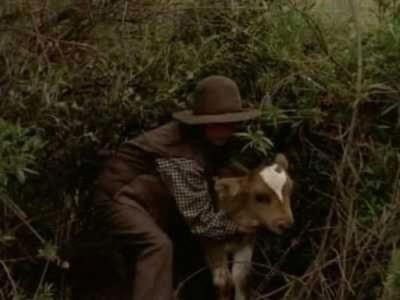 Dr. Quinn, Medicine Woman