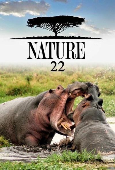 Nature filmas online