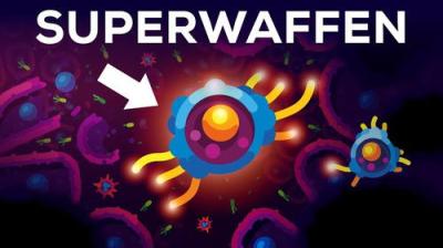 Kurzgesagt - In a Nutshell